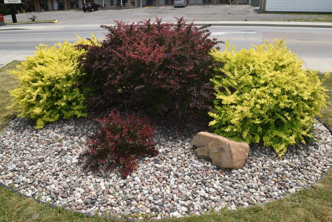 ナイツ イン アーンプライアー On Arnprior エクステリア 写真